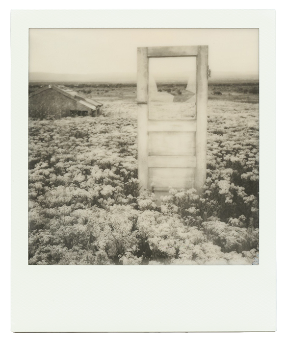 Polaroid of a lonely door in the country with a broken window
